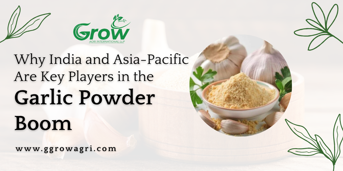 Why-India-and-Asia-Pacific-Are-Key-Players-in-the-Garlic-Powder-Boom.png